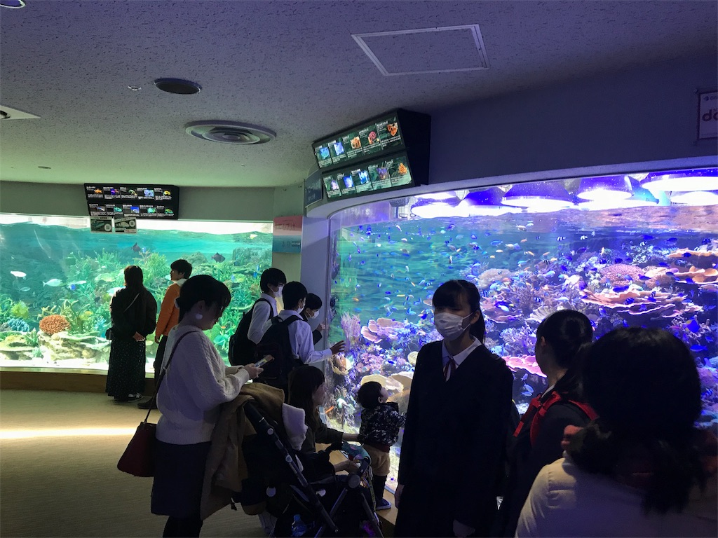f:id:nachi321:20190420184931j:image