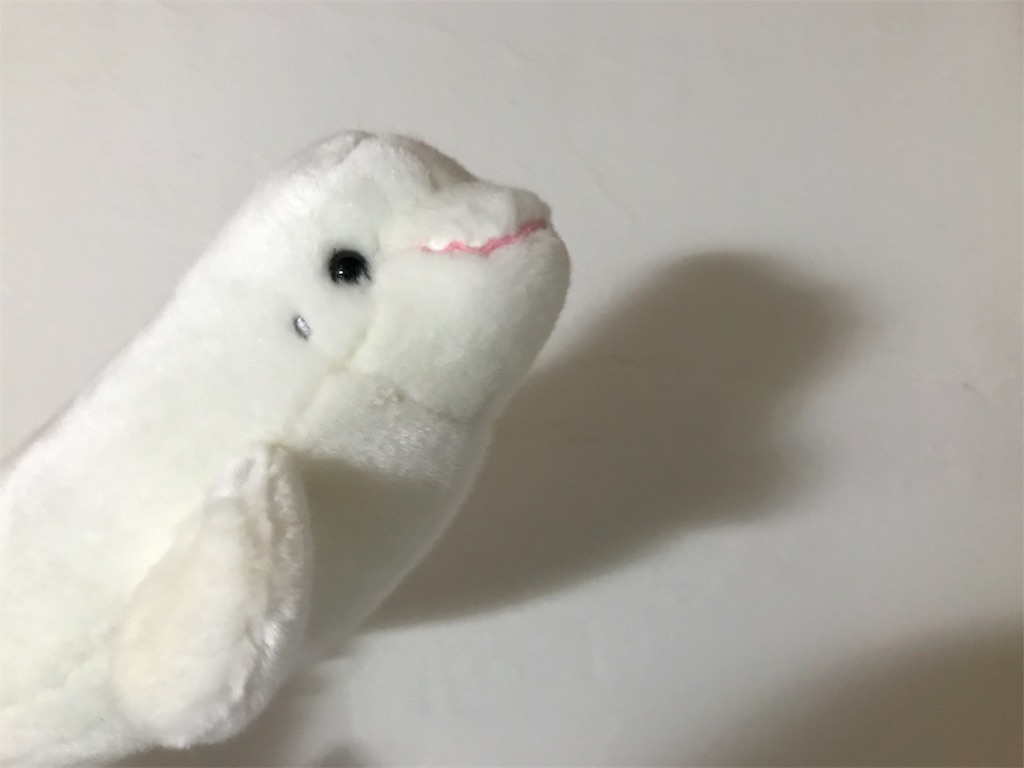 f:id:nachi321:20190420194054j:image