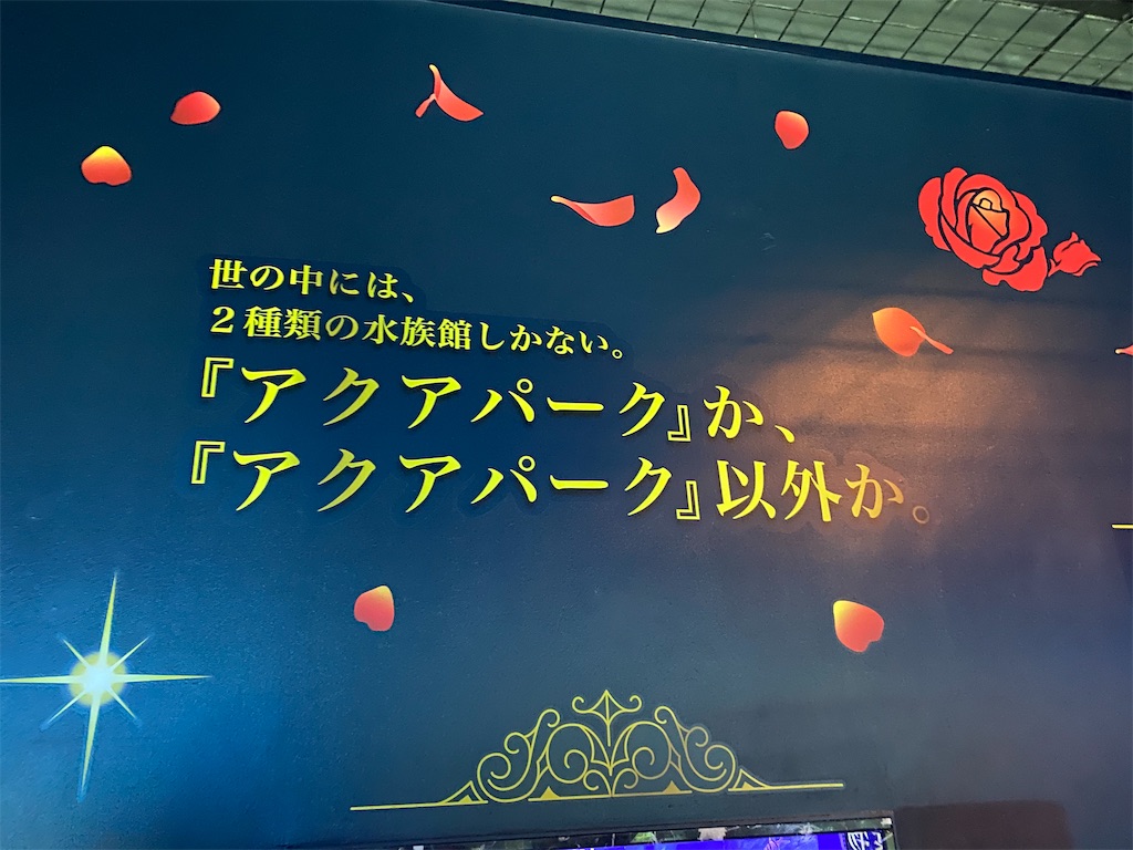 f:id:nachi321:20200204220740j:image