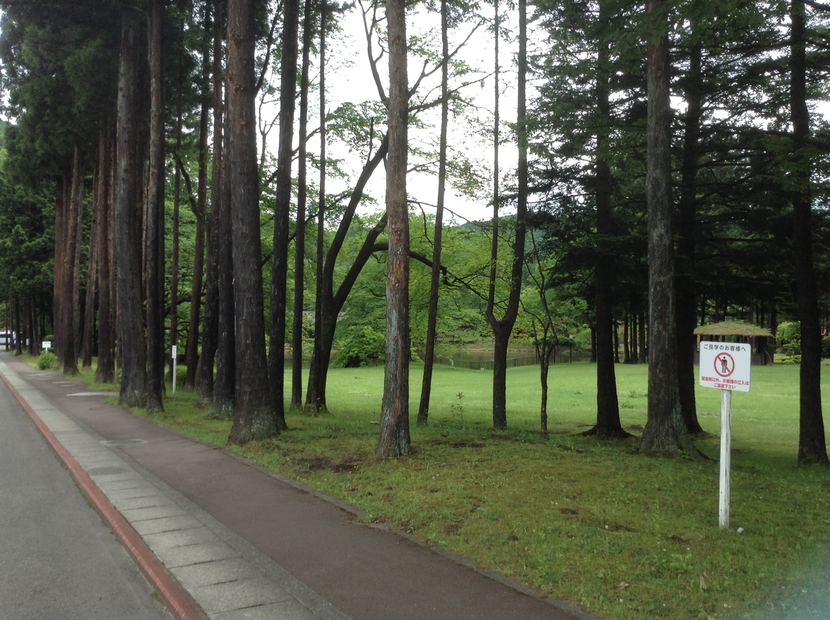 f:id:nachi992013:20190611233818j:plain f:id:nachi992013:20190611233818j:plain