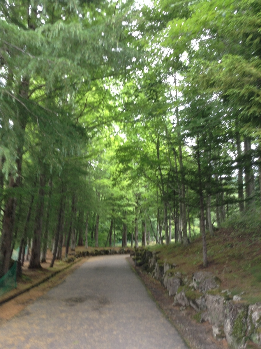f:id:nachi992013:20190612230408j:plain f:id:nachi992013:20190612230408j:plain