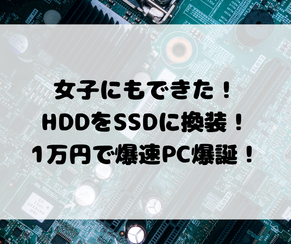 f:id:nachi_cinnamo:20190723163208p:plain f:id:nachi_cinnamo:20190723163208p:plain