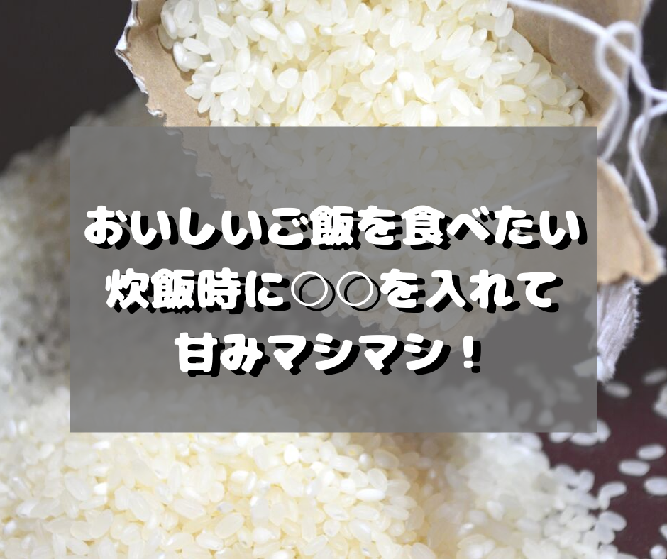 f:id:nachi_cinnamo:20191004013826p:plain f:id:nachi_cinnamo:20191004013826p:plain