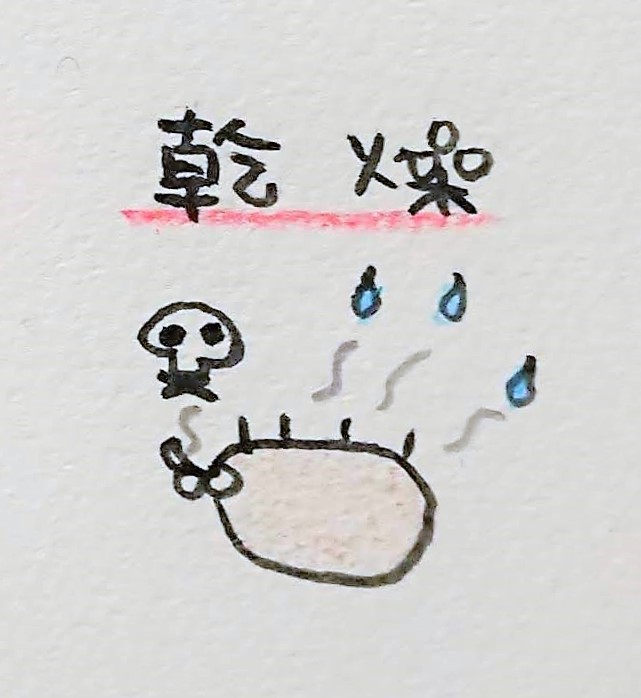 f:id:nachi_cinnamo:20191016204911j:plain f:id:nachi_cinnamo:20191016204911j:plain