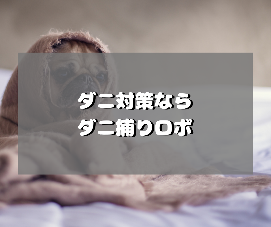 f:id:nachi_cinnamo:20191016213803p:plain f:id:nachi_cinnamo:20191016213803p:plain