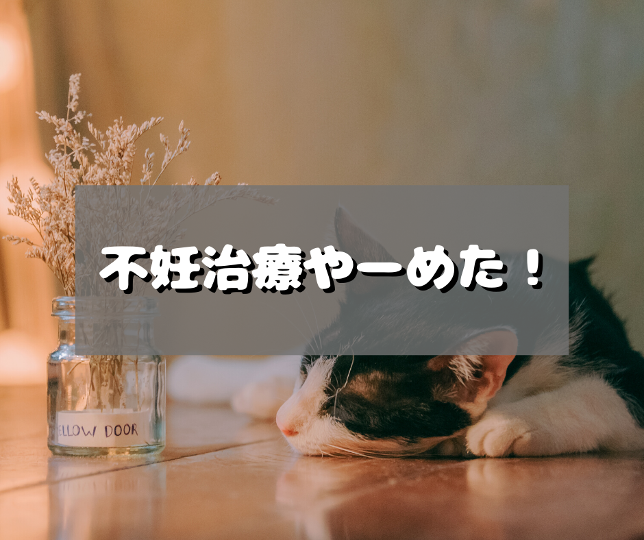 f:id:nachi_cinnamo:20191125194247p:plain f:id:nachi_cinnamo:20191125194247p:plain