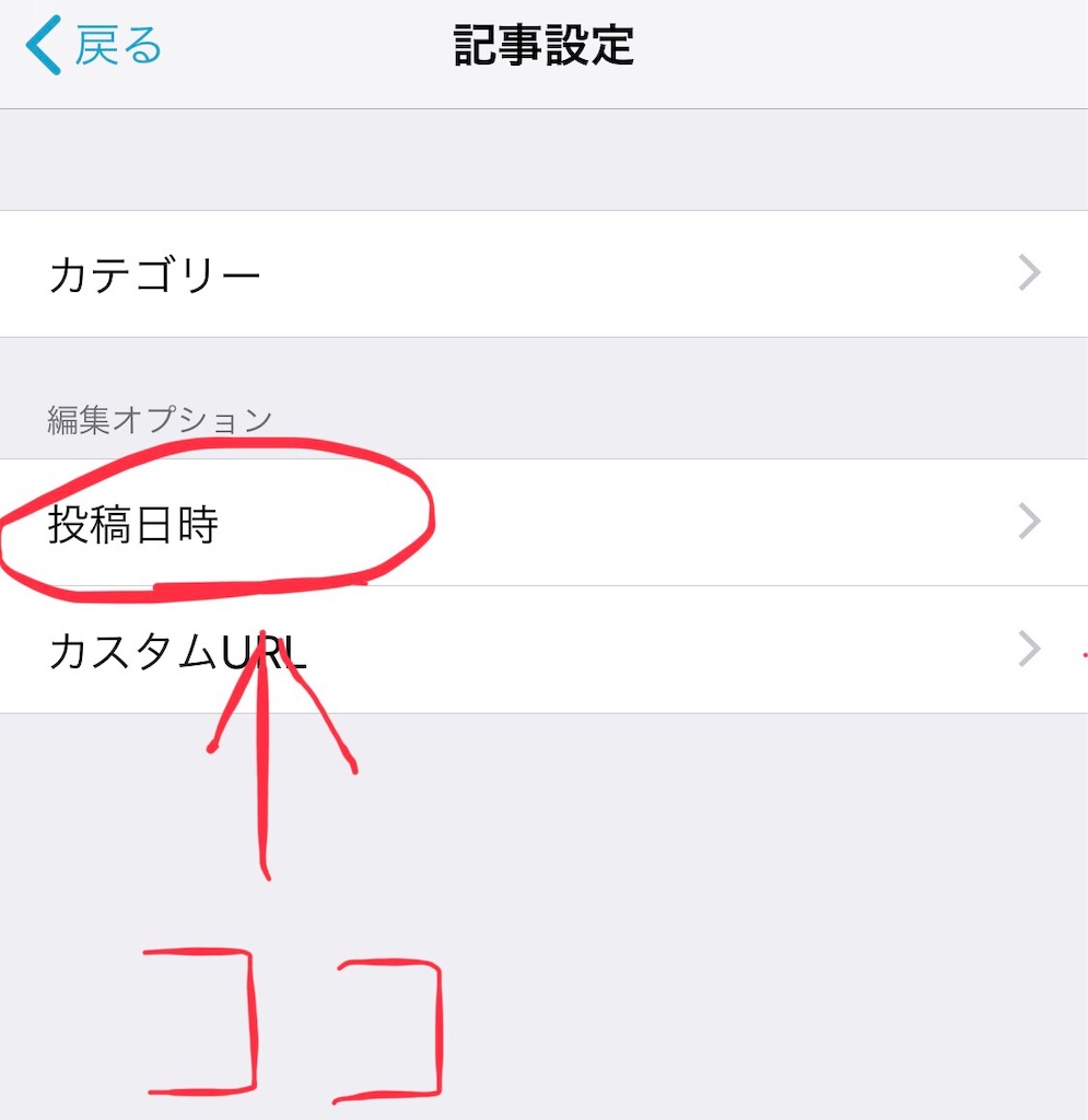 f:id:nachi_co:20190210145028j:image