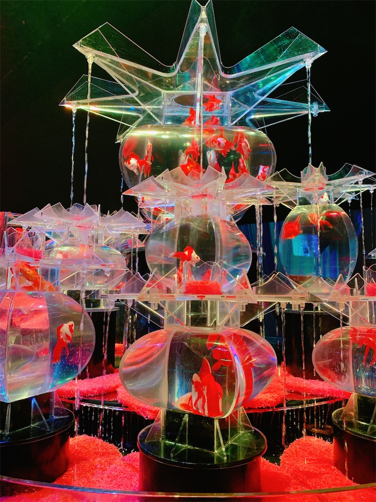 金魚がかわいそう アートアクアリウム展 保護犬の極み