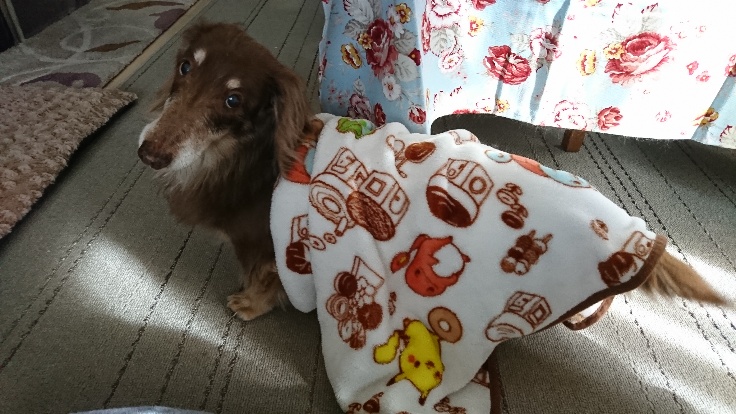 f:id:nachiwo:20191215205226j:plain f:id:nachiwo:20191215205226j:plain