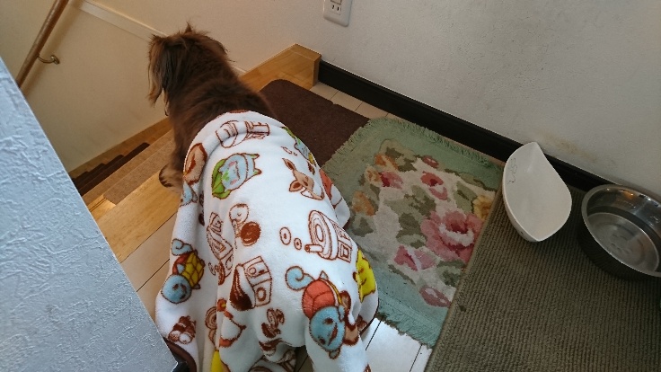 f:id:nachiwo:20191215205339j:plain f:id:nachiwo:20191215205339j:plain