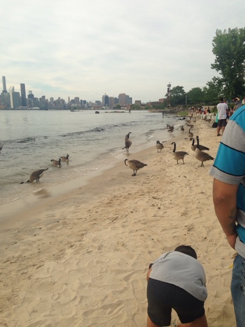 f:id:nacho___cheese:20170607152421j:plain