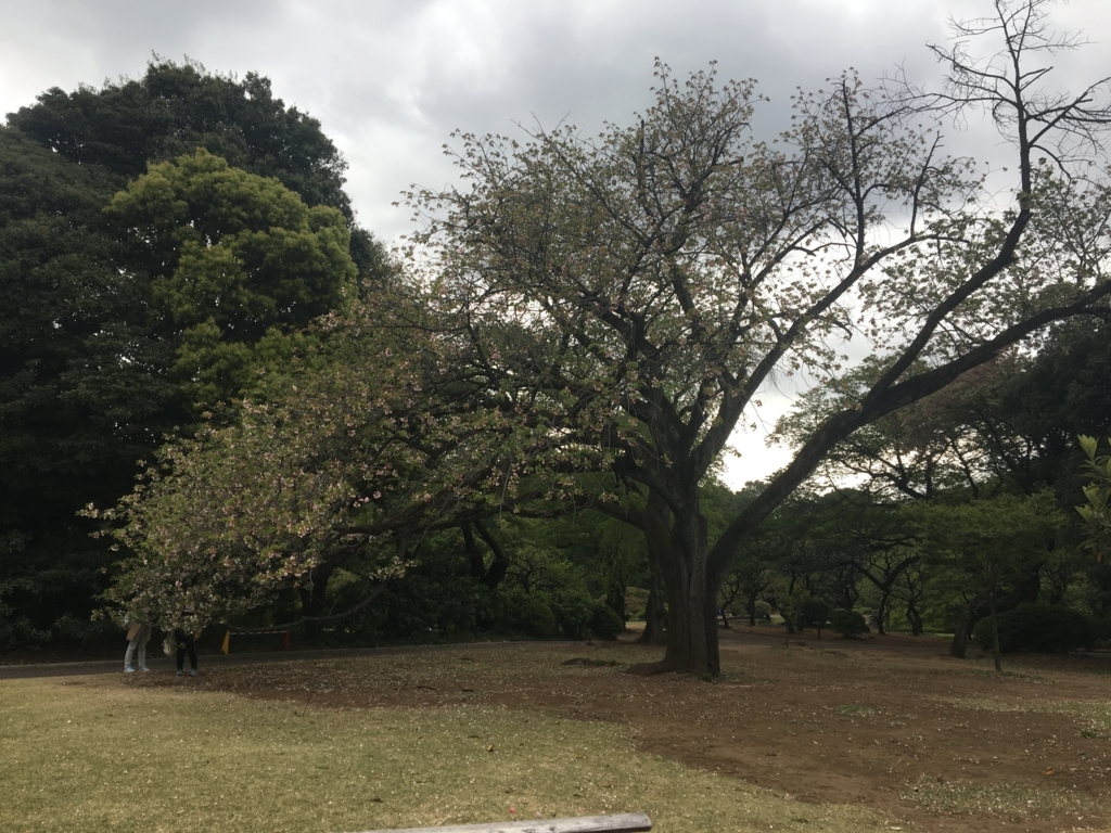 f:id:nacho___cheese:20180417121009j:plain