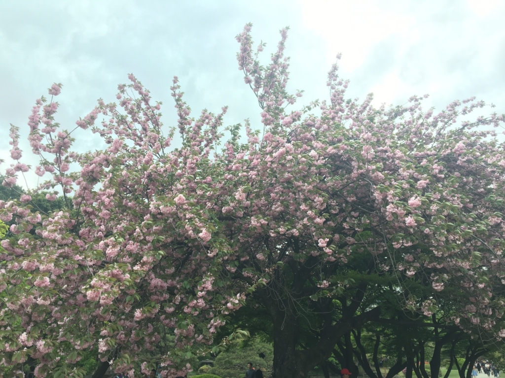 f:id:nacho___cheese:20180417141004j:plain