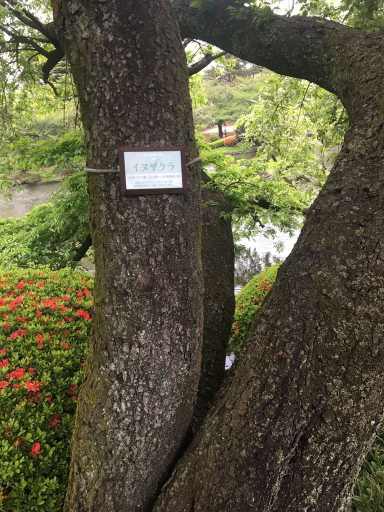 f:id:nacho___cheese:20180417143316j:plain