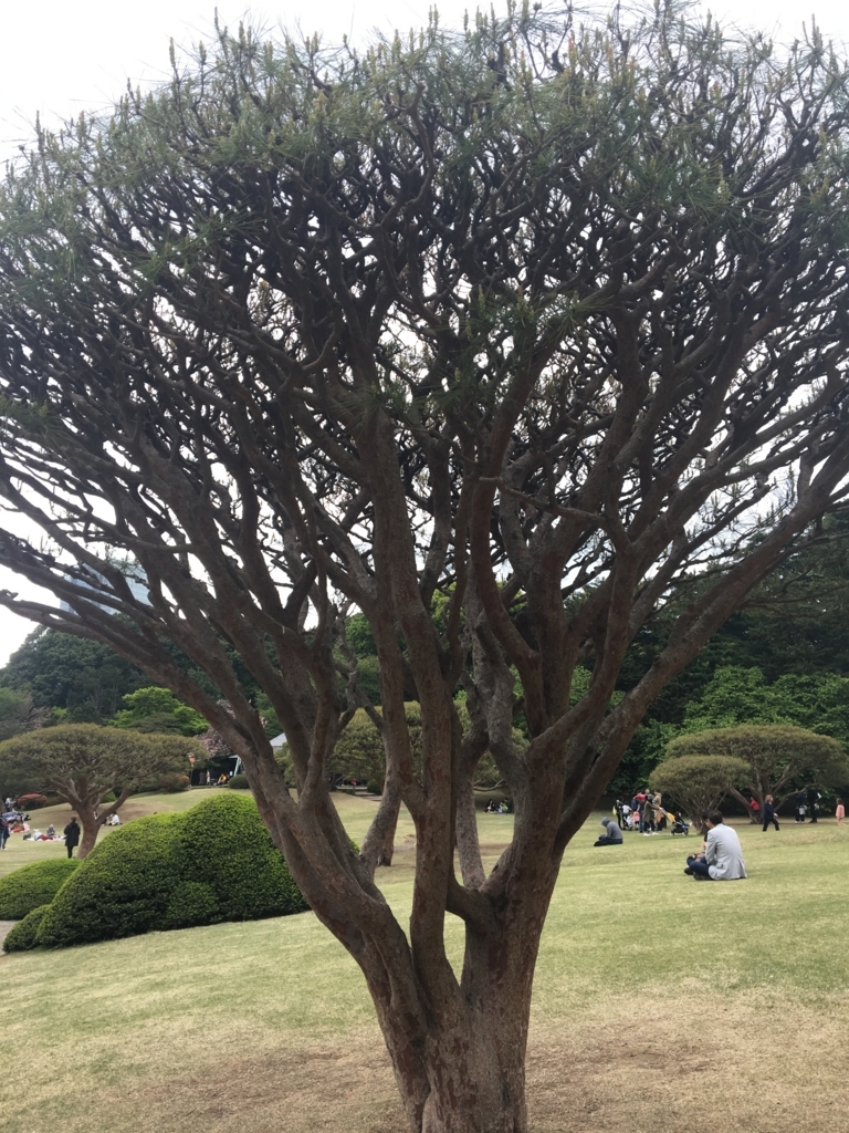 f:id:nacho___cheese:20180417143548j:plain