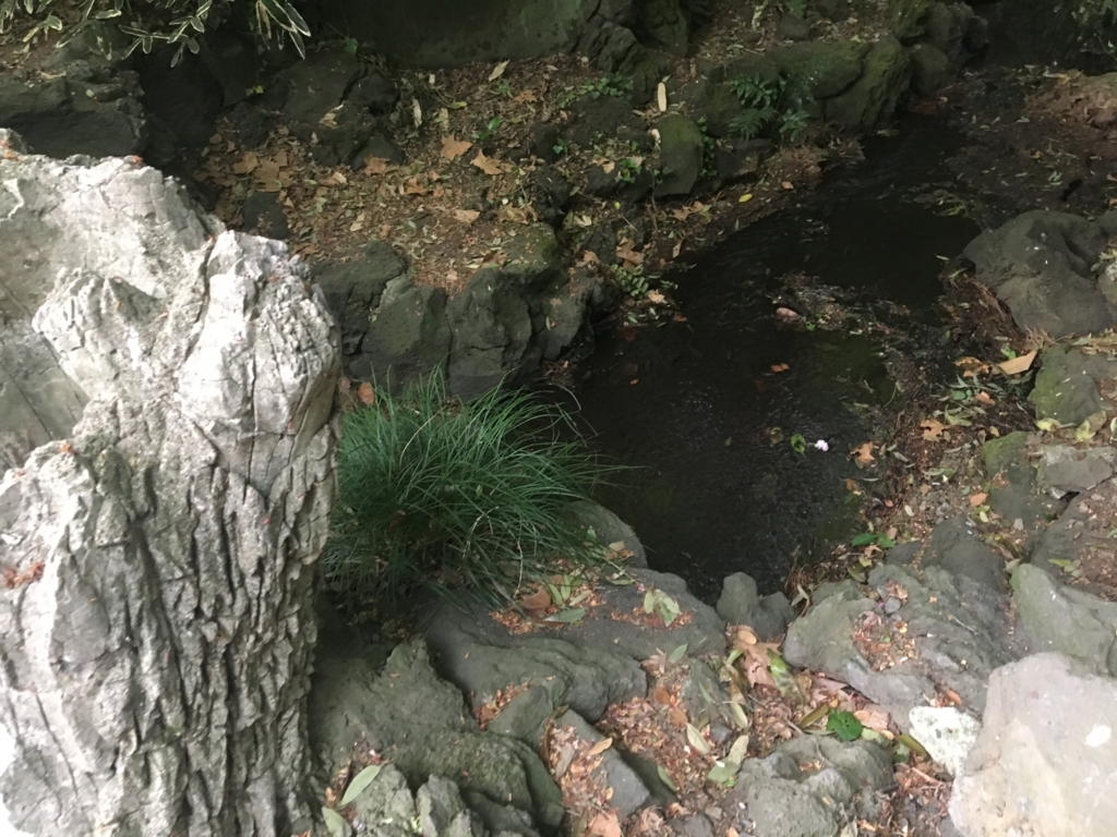 f:id:nacho___cheese:20180417143700j:plain