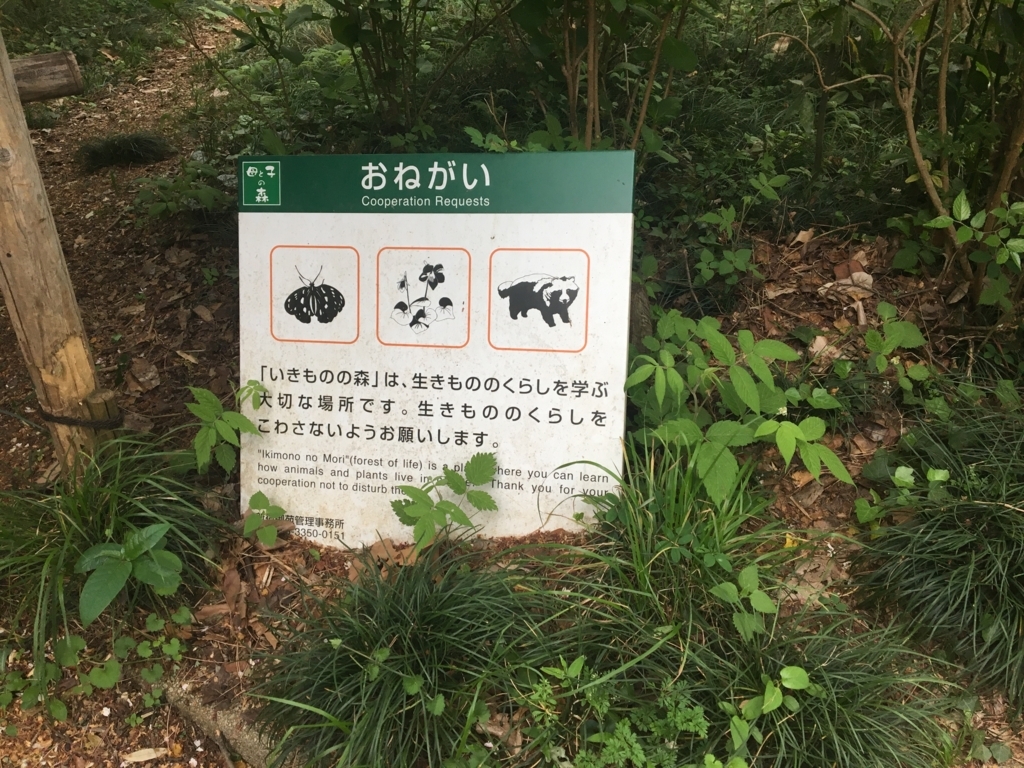 f:id:nacho___cheese:20180417143937j:plain