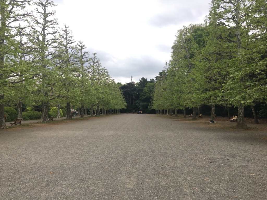 f:id:nacho___cheese:20180417151914j:plain