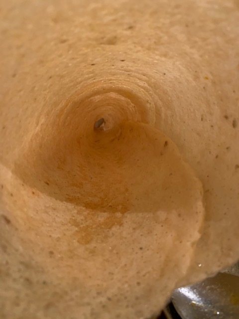 f:id:nacho___cheese:20190103062652j:plain f:id:nacho___cheese:20190103062652j:plain