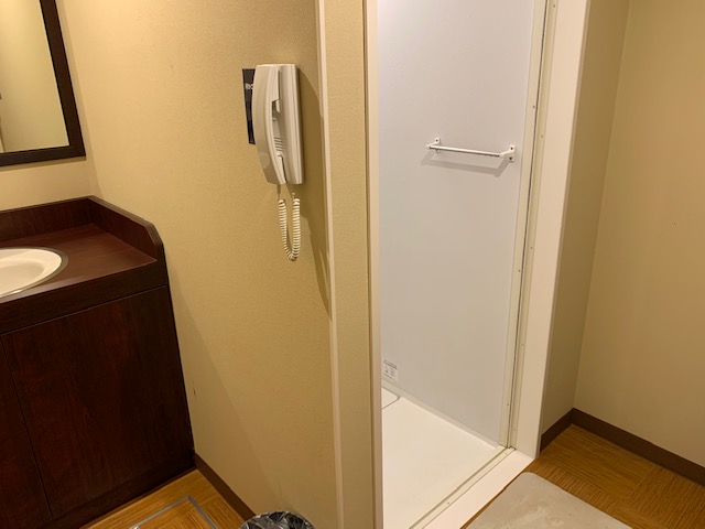 f:id:nacho___cheese:20190718010353j:plain