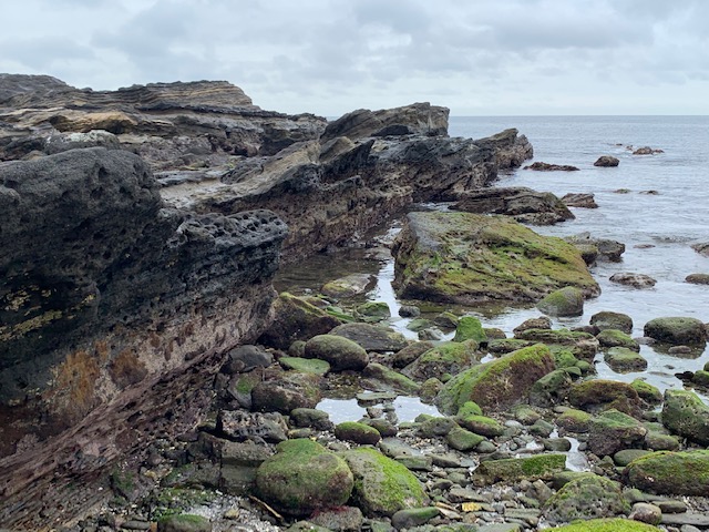 f:id:nacho___cheese:20190724030122j:plain f:id:nacho___cheese:20190724030122j:plain