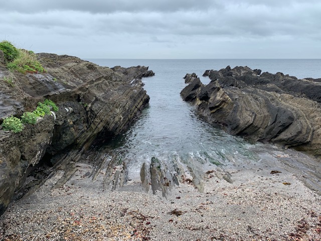 f:id:nacho___cheese:20190724030232j:plain f:id:nacho___cheese:20190724030232j:plain