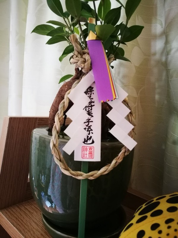 f:id:nachura:20171105101729j:image