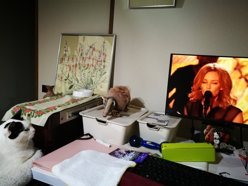 f:id:nachura:20180308130207j:image