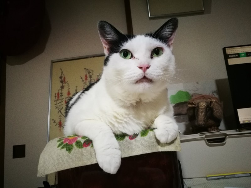 f:id:nachura:20180308130229j:image