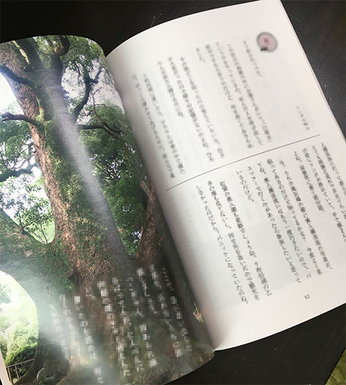 f:id:nacknon:20191225134908j:plain f:id:nacknon:20191225134908j:plain