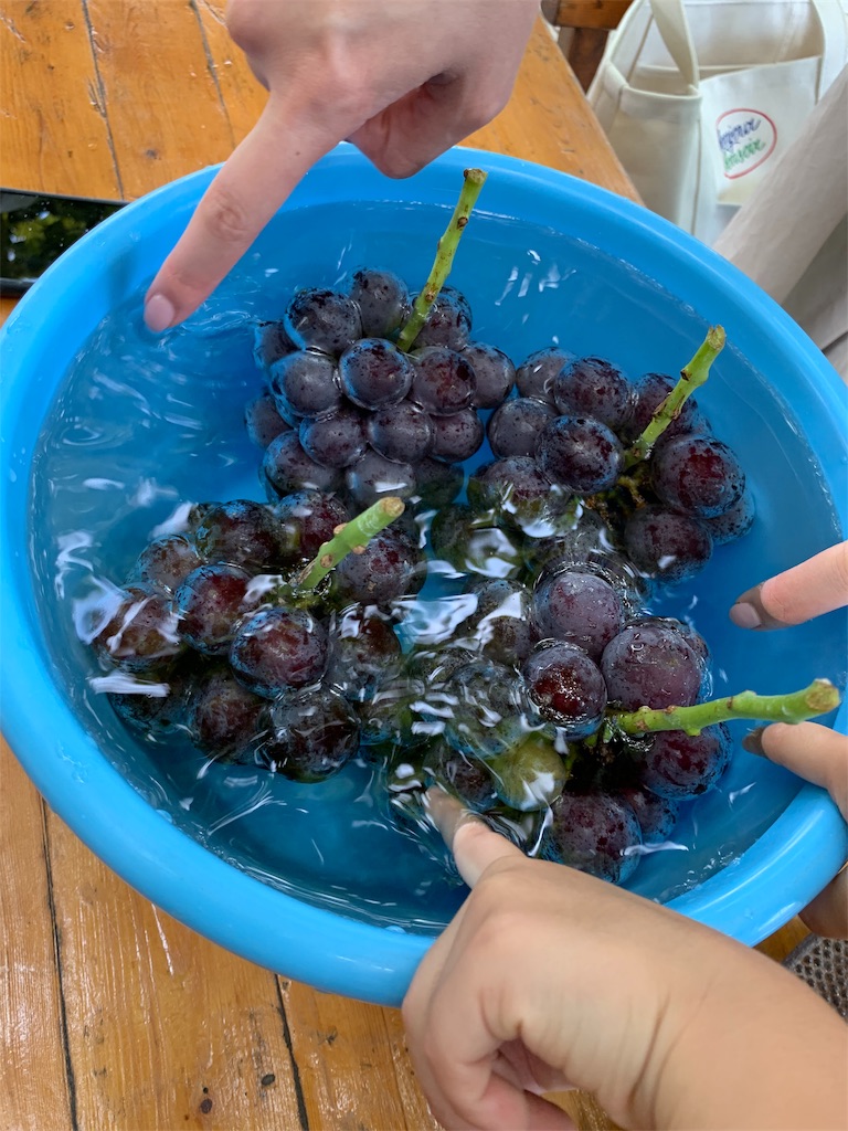 f:id:naconako:20190824184201j:image f:id:naconako:20190824184201j:image