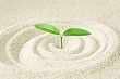 f:id:nacx11242010:20101028182340j:image f:id:nacx11242010:20101028182340j:image