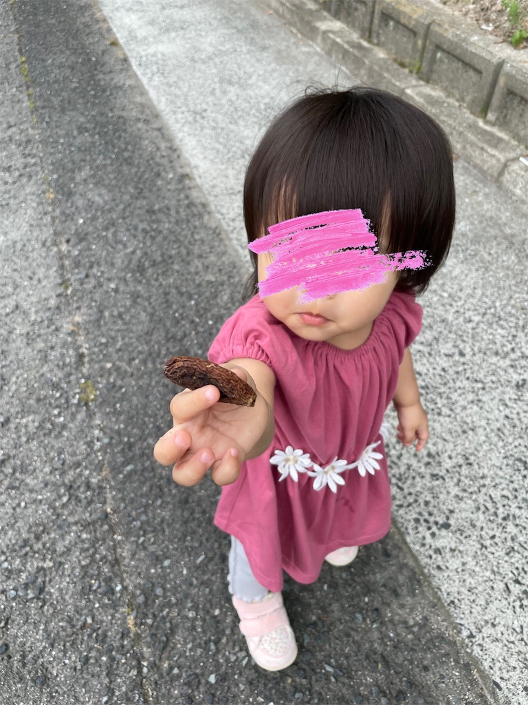 f:id:nada-konohana:20220727004603j:image