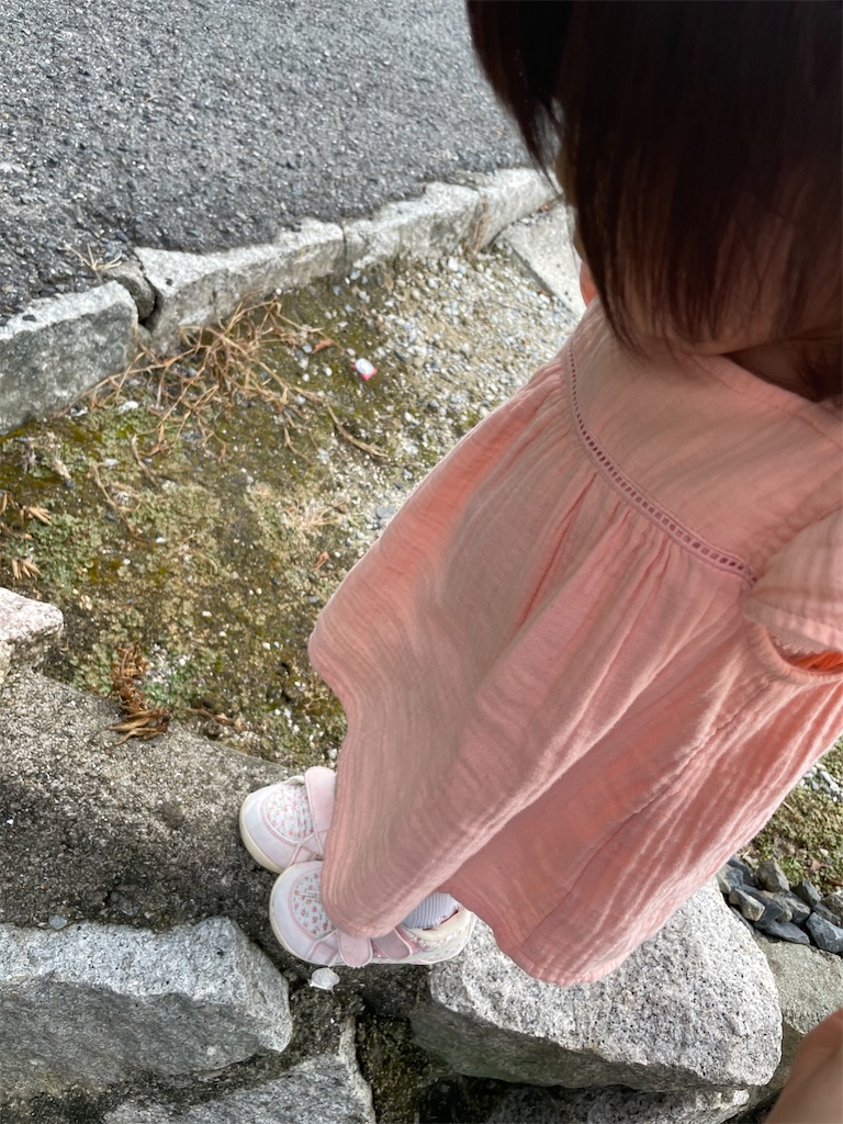 f:id:nada-konohana:20220731210458j:image