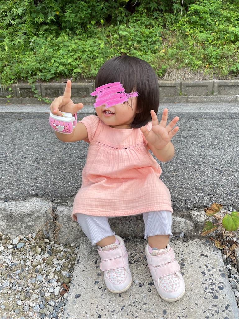 f:id:nada-konohana:20220731211313j:image