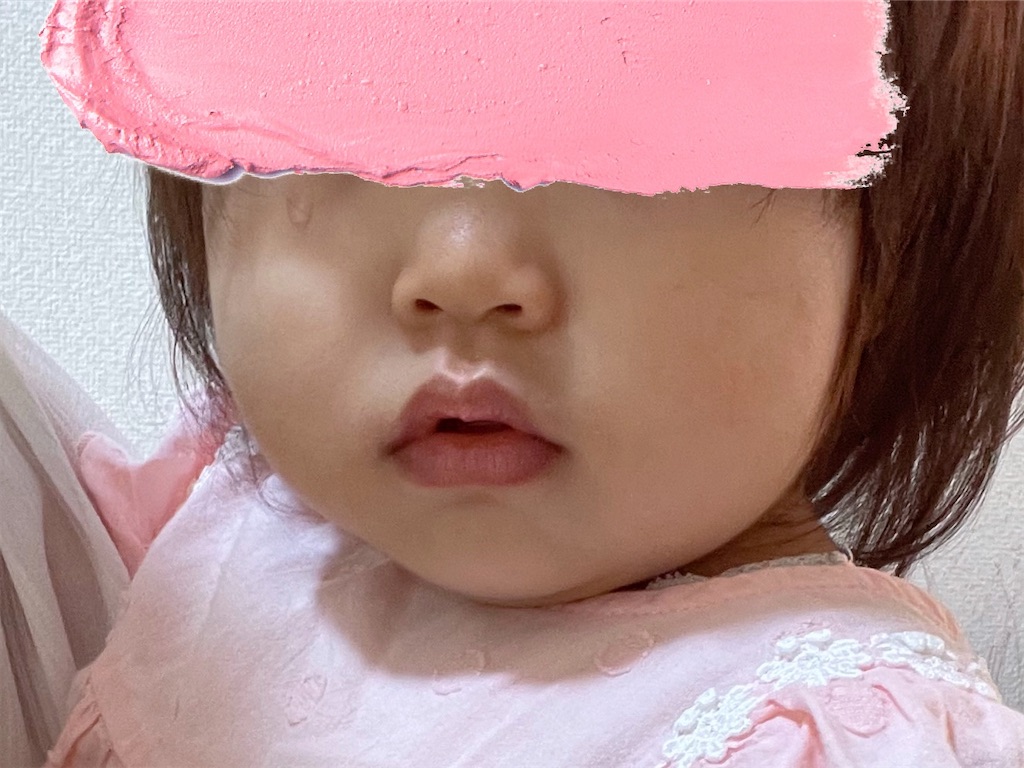 f:id:nada-konohana:20220801195643j:image