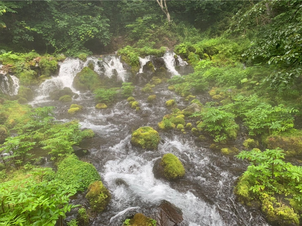 f:id:nadagou8002:20190818073335j:image