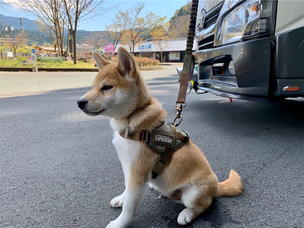 f:id:nadagou8002:20200412102709j:image