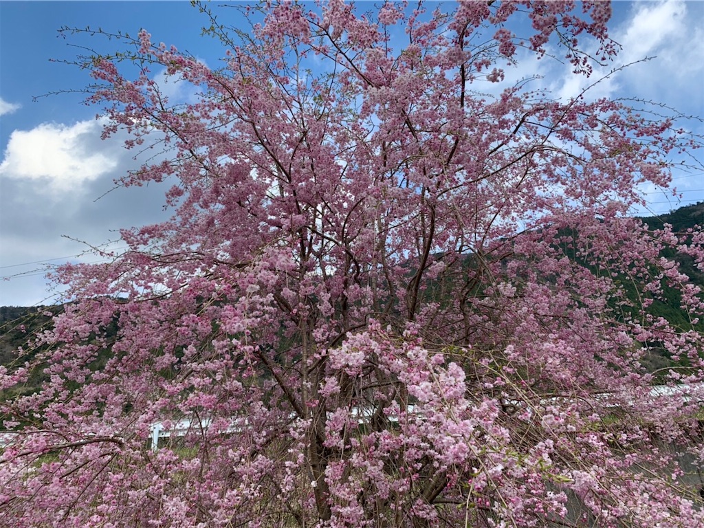 f:id:nadagou8002:20200412103147j:image