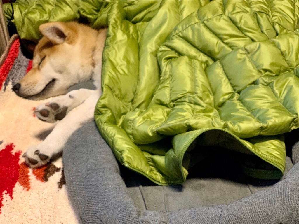 f:id:nadagou8002:20200412103958j:image