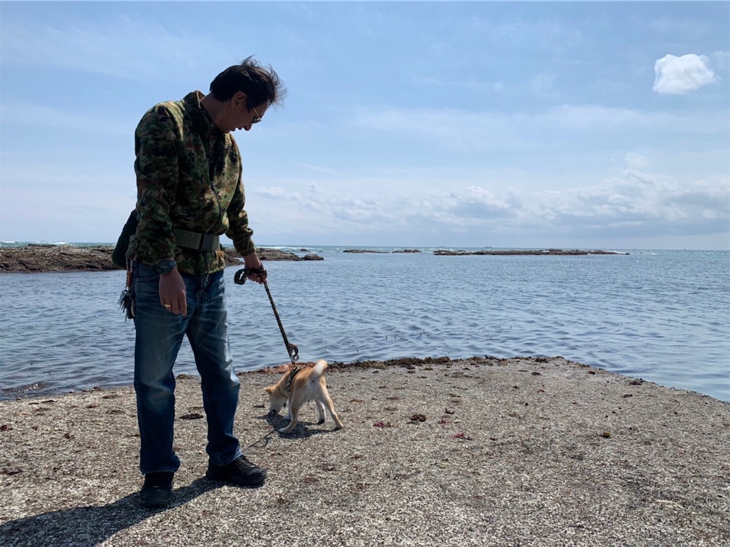 f:id:nadagou8002:20200412105554j:image