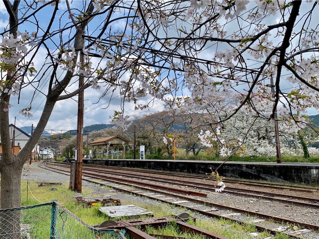 f:id:nadagou8002:20200412105619j:image