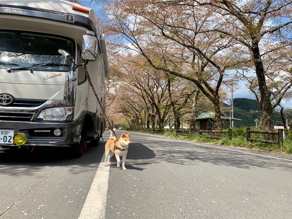 f:id:nadagou8002:20200412105719j:image