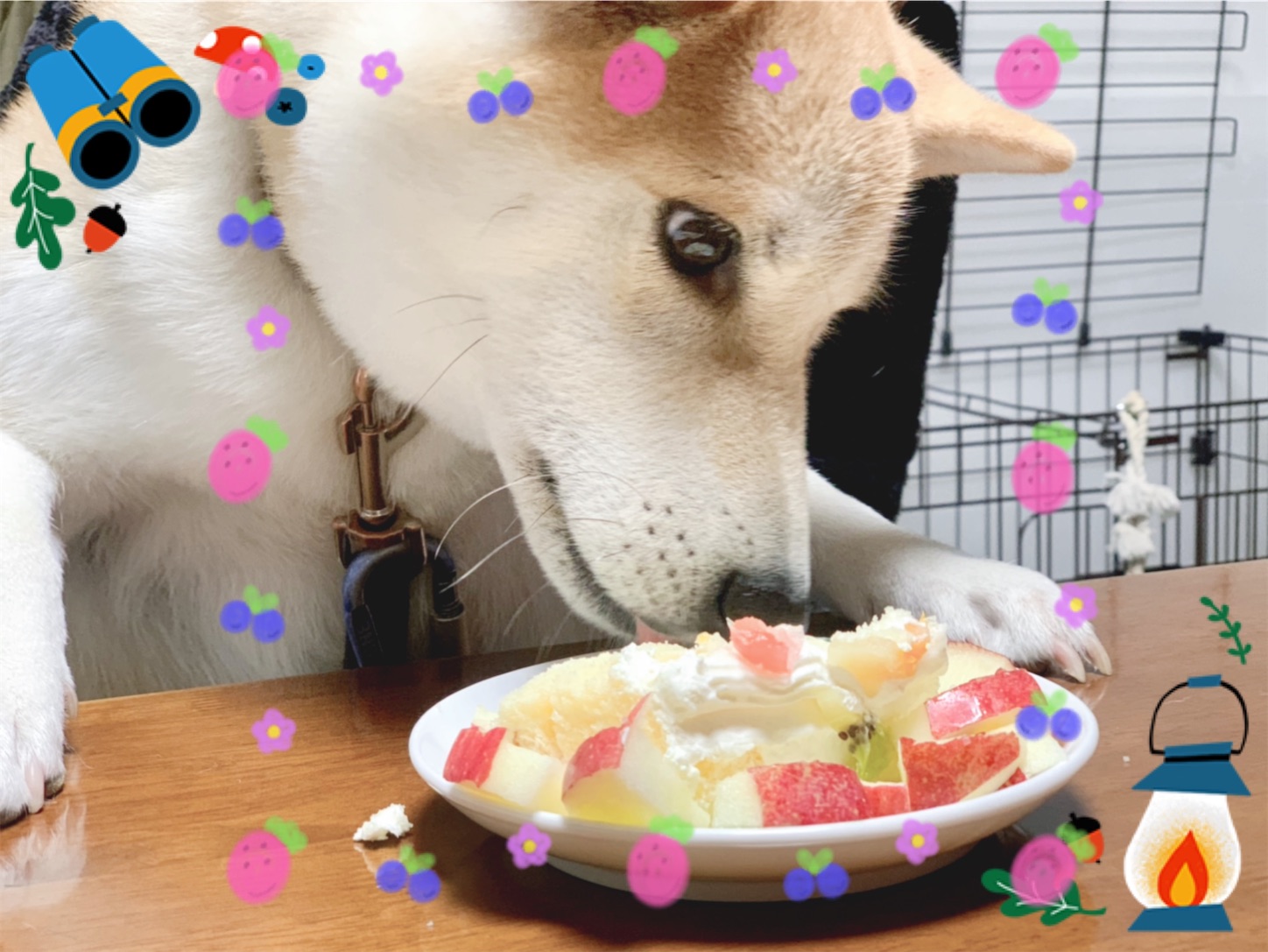 f:id:nadagou8002:20211208223115j:image f:id:nadagou8002:20211208223115j:image