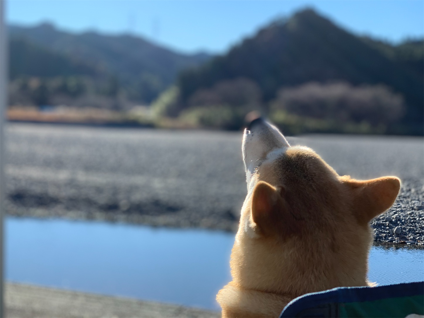 f:id:nadagou8002:20211218171135j:image