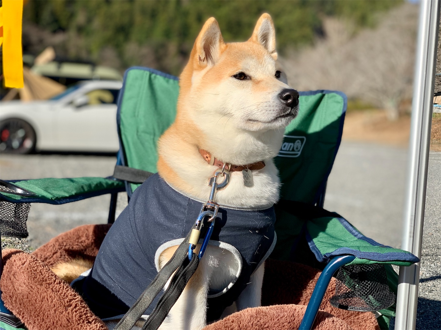 f:id:nadagou8002:20211218171145j:image