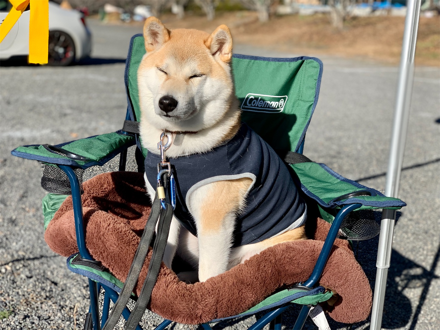 f:id:nadagou8002:20211218171159j:image