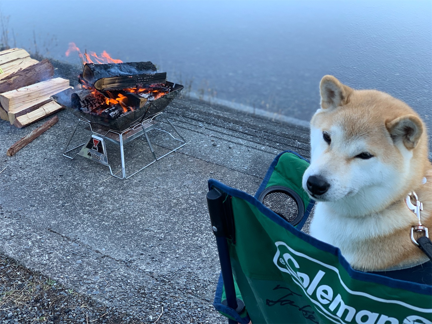 f:id:nadagou8002:20211219210227j:image