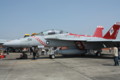 F/A-18Fスーパーホーネット（NF100）
