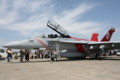F/A-18Fスーパーホーネット（NF100）